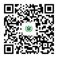 万博体育登录上海新纪元